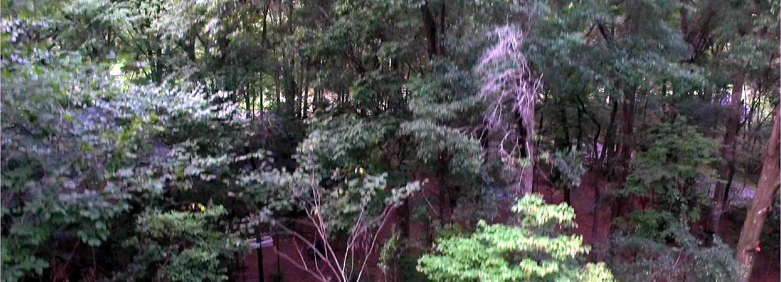 image05